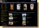 Romanes.com